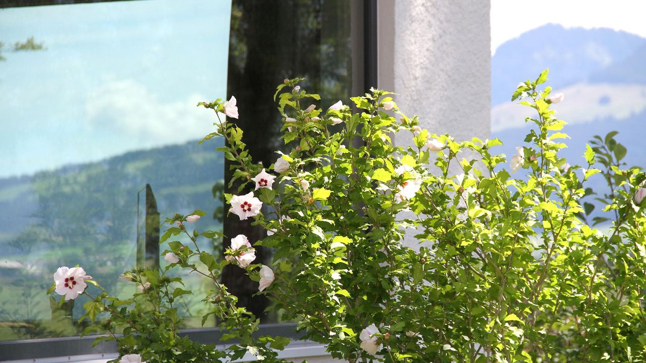 Bergzauber_Bolsterlang_Chalet_Bergjuwel_0437_www Bergzauber_Bolsterlang_Chalet_Bergjuwel_0437_www